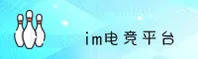 im电竞(IM)官方网站 - 行业领先的电竞平台